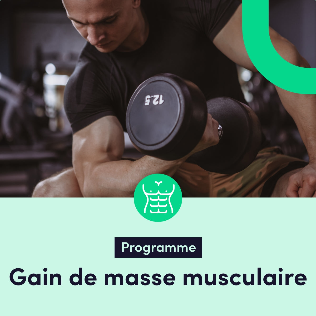 Plan Gain de masse musculaire