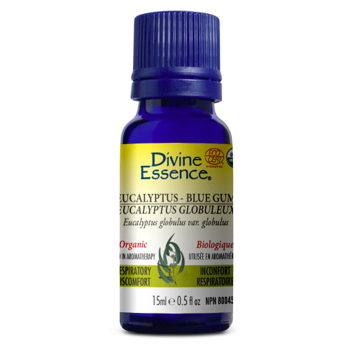 Organic Globulous Eucalyptus