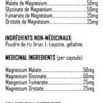 Mag-4