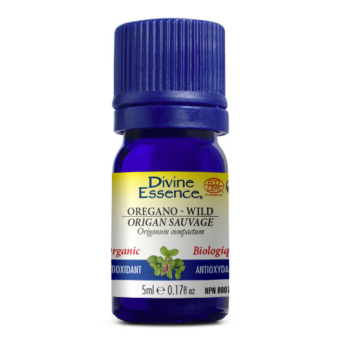 Organic Wild Oregano