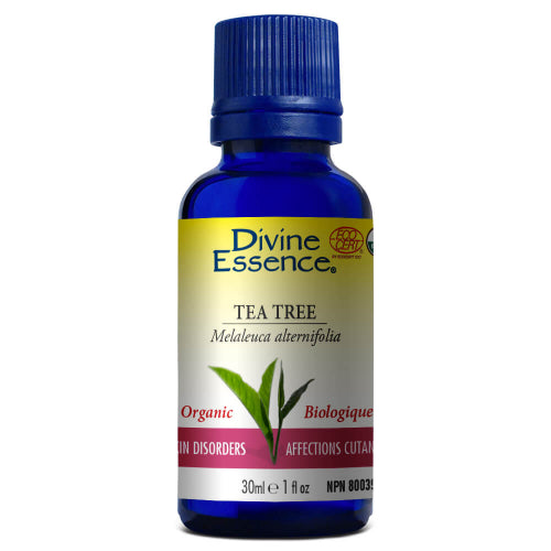 Tea Tree Biologique