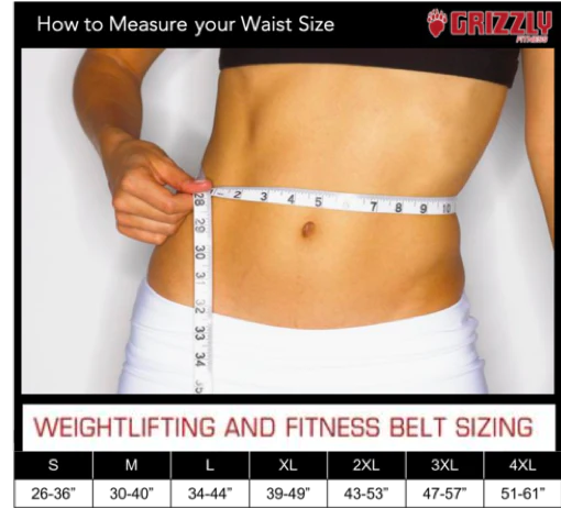 Grizzly Fitness Ceinture de musculation à double broche