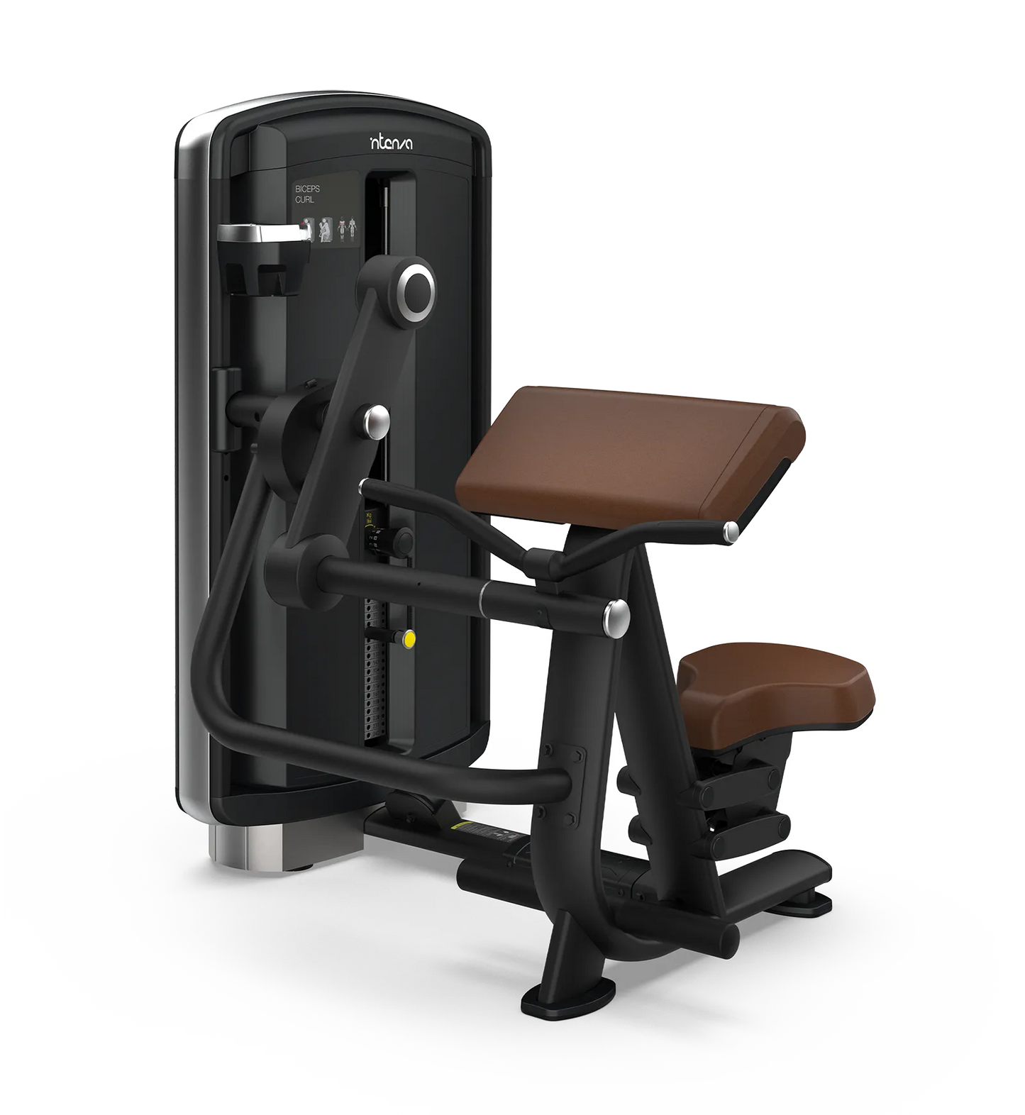 Intenza - Biceps Curl DL-01