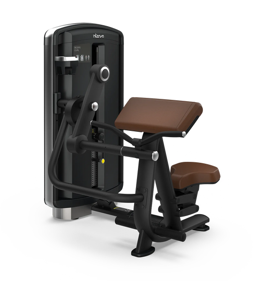 Intenza - Biceps Curl DL-01