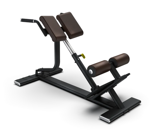 Intenza - Back Extension Bench SBR—04