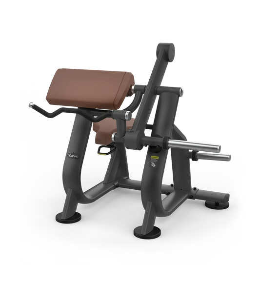 Intenza - Biceps Curl - ZL5