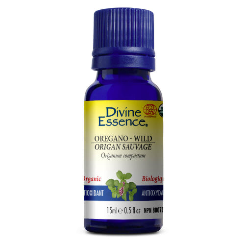 Origan Sauvage Biologique