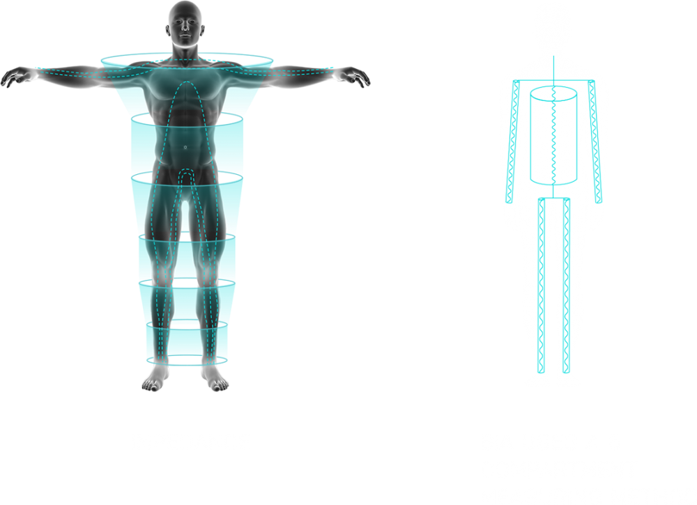 Evolt 360 Body Analysis 